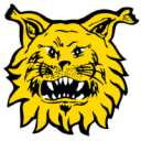 Escudo de Ilves
