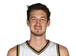Tibor Pleiss