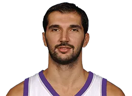 Peja Stojakovic